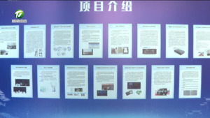 第三届中国黄山“迎客松”杯创意创新创业大赛海外赛道复赛分站赛举行