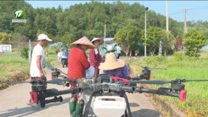简讯：无人机“上岗”施肥忙 科技助农促生产