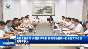 共创发展成果 共筑美好未来 何毅与杨善斌一行举行工作会谈 戴炜等参加