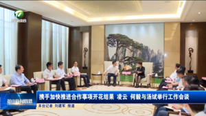 携手加快推进合作事项开花结果 凌云何毅与汤斌举行工作会谈  伍春宏 叶建强等参加
