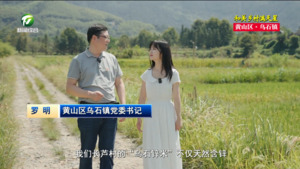 【和美乡村满天星——乡镇党委书记话振兴】罗明：双引擎开启高质量发展新篇章