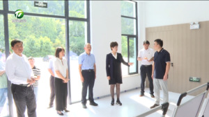 凌云调研乡村振兴工作时强调 拉高标杆 争先进位 打造宜居宜业和美乡村黄山样板