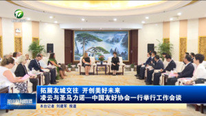 拓展友城交往 开创美好未来 凌云与圣马力诺—中国友好协会一行举行工作会谈