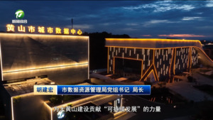 【锚定现代化 改革再深化·全面深化改革书记谈】抢抓释放数据价值机遇 奋力开创数据资源和政务服务工作新局面——访市数据资源管理局党组书记、局长 胡建宏