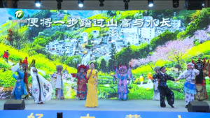 “你好，大黄山”黄山市文化和旅游推介会举行  凌云 张明等出席