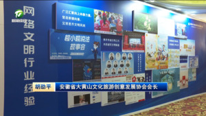 智汇皖韵 文脉传承——网络文化创新发展论坛召开