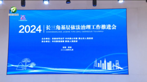 2024年长三角基层依法治理工作推进会在黟县举行 张亚强致辞