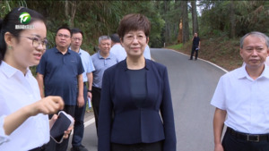 凌云赴休宁县调研督导时强调 全面提升城市功能品质活力 全力营造安全舒心旅游环境