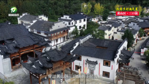 【和美乡村满天星——乡镇党委书记话振兴】吴向阳：三产融合谋发展  激活振兴新动能