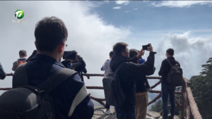 登临黄山之巅 感受别样魅力 第四届海外华文媒体走读黄山集中采访采风活动走进黄山风景区
