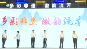 “多彩非遗·徽韵流芳”2024国家级文化生态保护（实验）区交流展示活动开幕式举行  何毅等出席