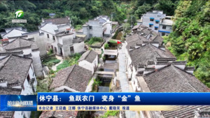 鱼跃农门  变身“金”鱼