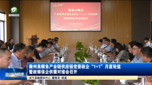 徽州臭鳜鱼产业链供应链党委政企“1+1”月度轮值暨政银保企供需对接会召开