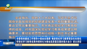 市委党的建设工作领导小组会议强调 推进党纪学习教育常态化长效化 把党纪学习教育成果持续转化为推动高质量发展的强大动力 凌云讲话