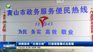 涉旅诉求“日清日结” 打造宠客模式总客服
