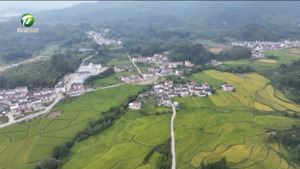 祁门：建好农村路 铺就“致富路”