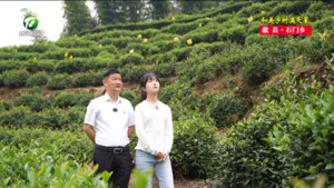 【和美乡村满天星——乡镇党委书记话振兴】程宏：发展森林康养，绘就宜居宜游的石门秘境
