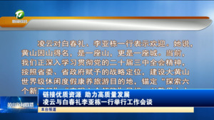 链接优质资源 助力高质量发展 凌云与白春礼李亚栋一行举行工作会谈