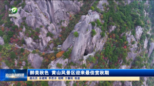 醉美秋色 黄山风景区迎来最佳赏秋期