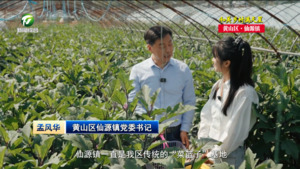 【和美乡村满天星——乡镇党委书记话振兴】孟风华： 寻梦田园风光  情醉千年古城