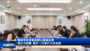 推动项目成果在黄山落地生根 凌云与把嶙 陆叶一行举行工作会商