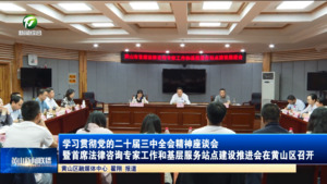 学习贯彻党的二十届三中全会精神座谈会暨首席法律咨询专家工作和基层服务站点建设推进会在黄山区召开