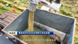 牢记嘱托感恩奋进 奋力谱写中国式现代化黄山篇章——习近平总书记考察安徽重要讲话引发热烈反响