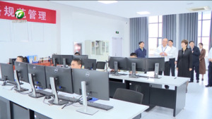 凌云赴有关区县督导安全生产和生态环保工作时强调 扛牢政治责任守牢安全底线 全力保障人民群众生命财产安全  伍春宏参加