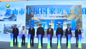 中国（黄山）第四届徽派古建产业发展大会开幕