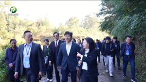 中国（黄山）第四届徽派古建产业发展大会与会嘉宾参观我市徽派古建筑保护和利用项目