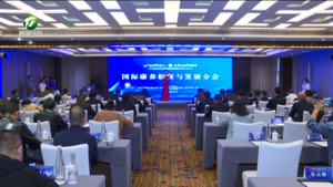 第三届中国（黄山）新安医学发展大会国际康养创新与发展分会召开