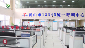 凌云接听12345政务服务便民热线时强调 全心全意为群众办实事解难题  不断提高群众获得感和满意度