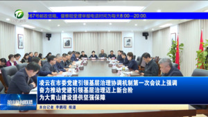 凌云在市委党建引领基层治理协调机制第一次会议上强调 奋力推动党建引领基层治理迈上新台阶 为大黄山建设提供坚强保障  