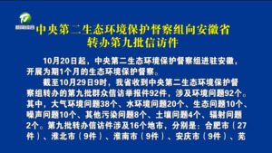 中央第二生态环境保护督察组向安徽省转办第九批信访件