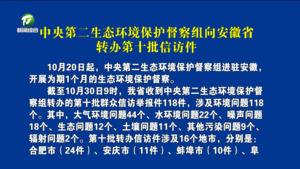 中央第二生态环境保护督察组向安徽省转办第十批信访件