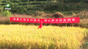 同心圆党建联建片区开展“党建引领聚合力 携手同心促发展”主题党日活动