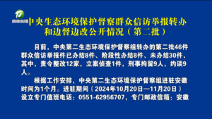 中央生态环境保护督察群众信访举报转办和边督边改公开情况（第二批）