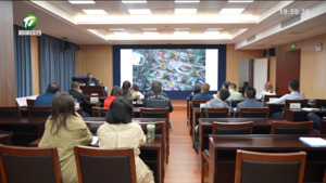简讯：黄山职业技术学院开展“文房四宝创新设计和融合发展”非遗传承人培训活动