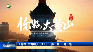 《你好 大黄山》（9）：一步一景 一时一色