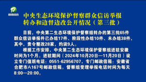 中央生态环境保护督察群众信访举报转办和边督边改公开情况（第三批）