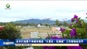 简讯：全市打造最干净城市推进“大景区·花满城”工作现场会召开