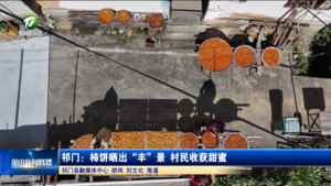 简讯：祁门：柿饼晒出“丰”景 村民收获甜蜜