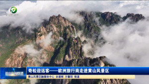 奇松迎远客——欧洲旅行商走进黄山风景区