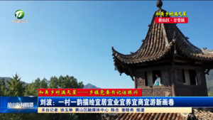 【和美乡村满天星——乡镇党委书记话振兴】刘波：一村一韵描绘宜居宜业宜养宜商宜游新画卷