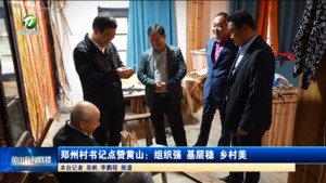 郑州村书记点赞黄山：组织强 基层稳 乡村美