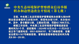 中央生态环境保护督察群众信访举报转办和边督边改公开情况（第七批）