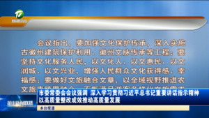 市委常委会会议强调 深入学习贯彻习近平总书记重要讲话指示精神 以高质量整改成效推动高质量发展