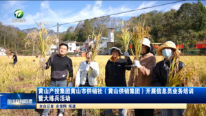 简讯：黄山产投集团黄山市供销社（黄山供销集团）开展信息员业务培训暨大练兵活动