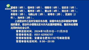 中央第二生态环境保护督察组向安徽省转办第二十批信访件