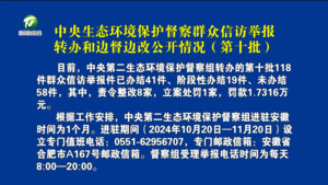 中央生态环境保护督察群众信访举报转办和边督边改公开情况（第十批）